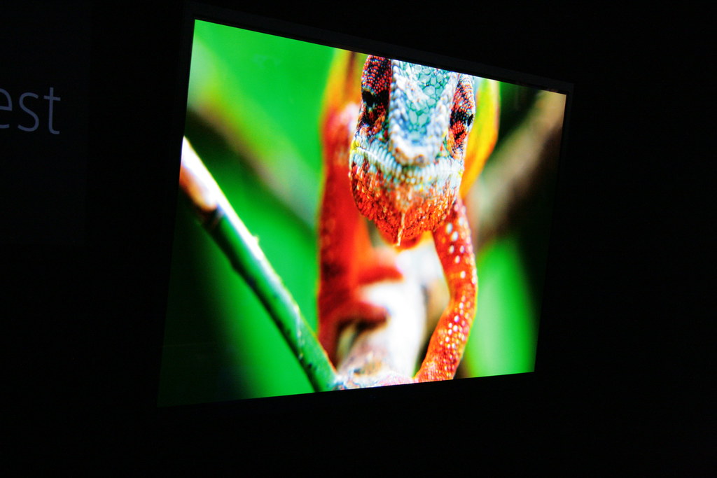 4K OLED TV displaying vivid nature scene